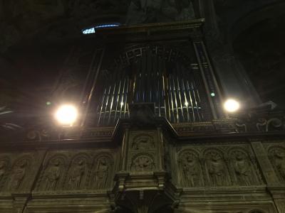 Vespri d'organo concerto Monza (Milano)